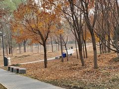 -东郊湿地公园
