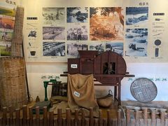 -东涌水乡风情街