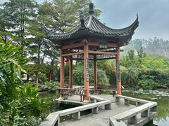 -广州神农草堂中医药博物馆