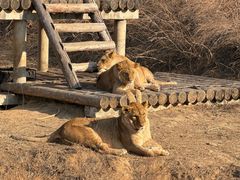 -石家庄市动物园