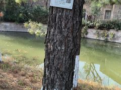 -绍兴镜湖国家城市湿地公园