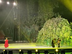 -灵玲国际马戏城