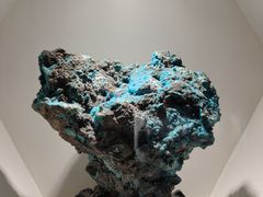 -安徽省地质博物馆