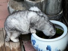-一品渔乡·水库灶台鱼·乐享庭院