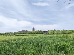 -永定河休闲森林公园