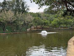 -深圳龙潭公园