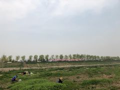 -洨河生态公园