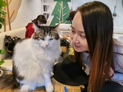 -小时光咖啡馆(北锣鼓巷店)