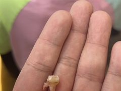 -牙博士口腔品牌连锁(杨浦店)