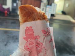 -孙奶奶葱包桧