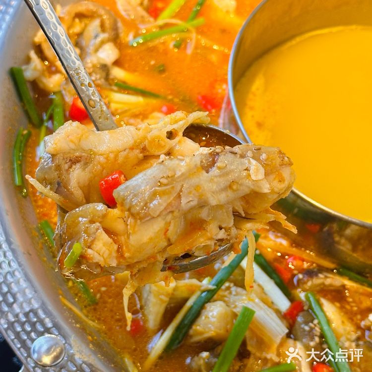 跟我一起“嚯嚯”🐟