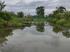 -江门古劳水乡旅游区