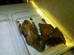 -老鼎万春卤菜(鹭湖宫8区店)