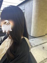 -和良形象