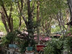 -园林美食城·本土农家菜(杨和镇店)