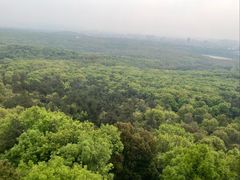 -紫金山山顶公园