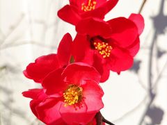 -老东吴食府(雅都店)