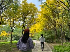 -东疆建设开发纪念公园