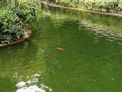 -九龙公园