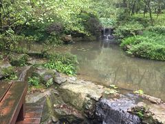 -杭州半山国家森林公园