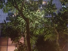 -戏迷-成都群光君悦酒店
