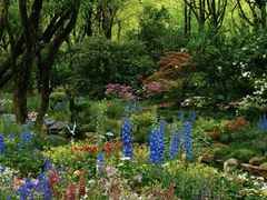 -上海共青森林公园