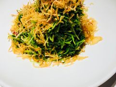巧拌豆苗-四季民福烤鸭店(王府井灯市口店)