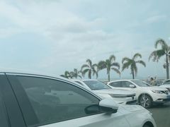 -野狸岛