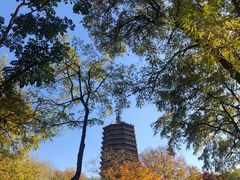 -玲珑塔公园