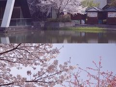 -石湖景区