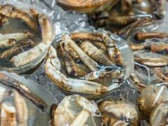 -铭聚章鱼土笋冻(松柏店)