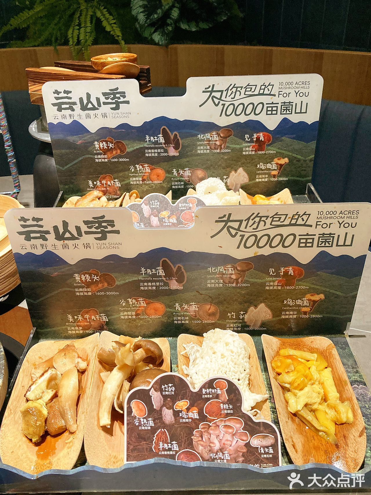 新店开业！这家菌菇火锅终于开到楼下了！