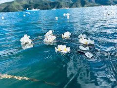 -丽江泸沽湖景区