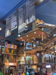 -卡通尼·Safari非洲探索乐园·生日会(金桥国际商业广场店)