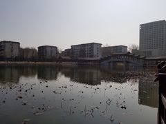 -西海子公园