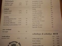 -Blarney Stone巧言石爱尔兰酒吧