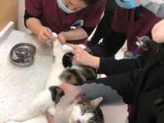 -美联众合动物医院·24h京西诊疗中心