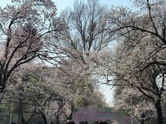 -吉林大学(南岭校区)