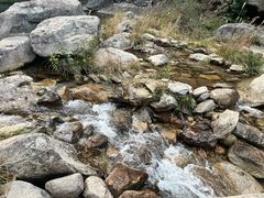 -庐山碧龙潭风景区