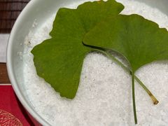 -慈云斋·24节气素食