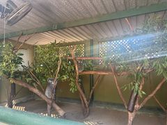 -费瑟代尔野生动物园