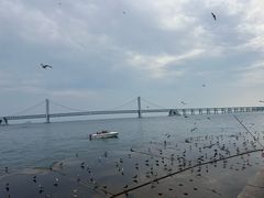 -星海广场