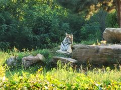 -北京野生动物园