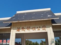 -临高角