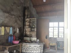 -南汇老顾农家乐采摘大团水蜜桃采摘店