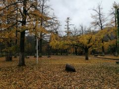 -长兴八都岕景区