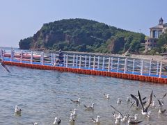 -棒棰岛宾馆景区
