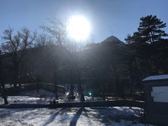 -阳台山自然风景区