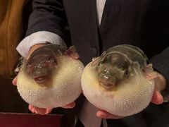 -永安鱼庄·镇江菜(东吴路店)