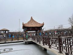 -呀路古热带植物园